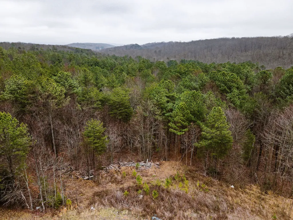0 Captain Carter Road Spencer TN 38585
