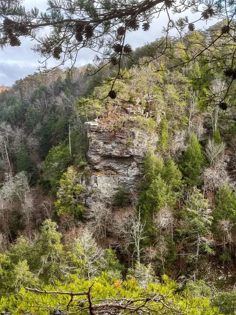 0 Captain Carter Road Spencer TN 38585