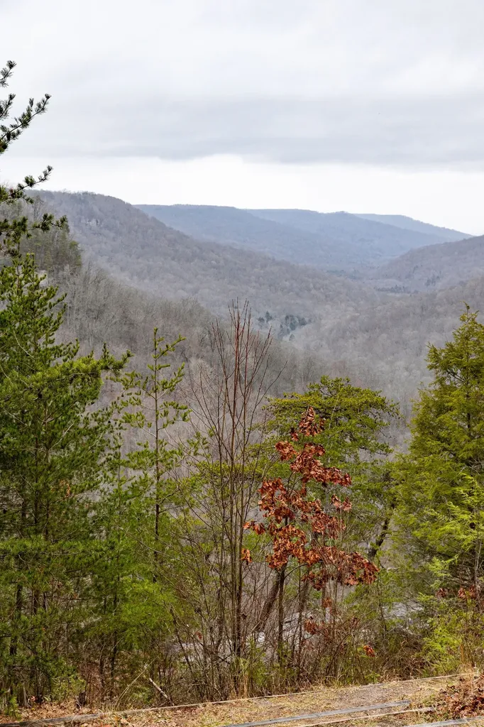 0 Captain Carter Road Spencer TN 38585