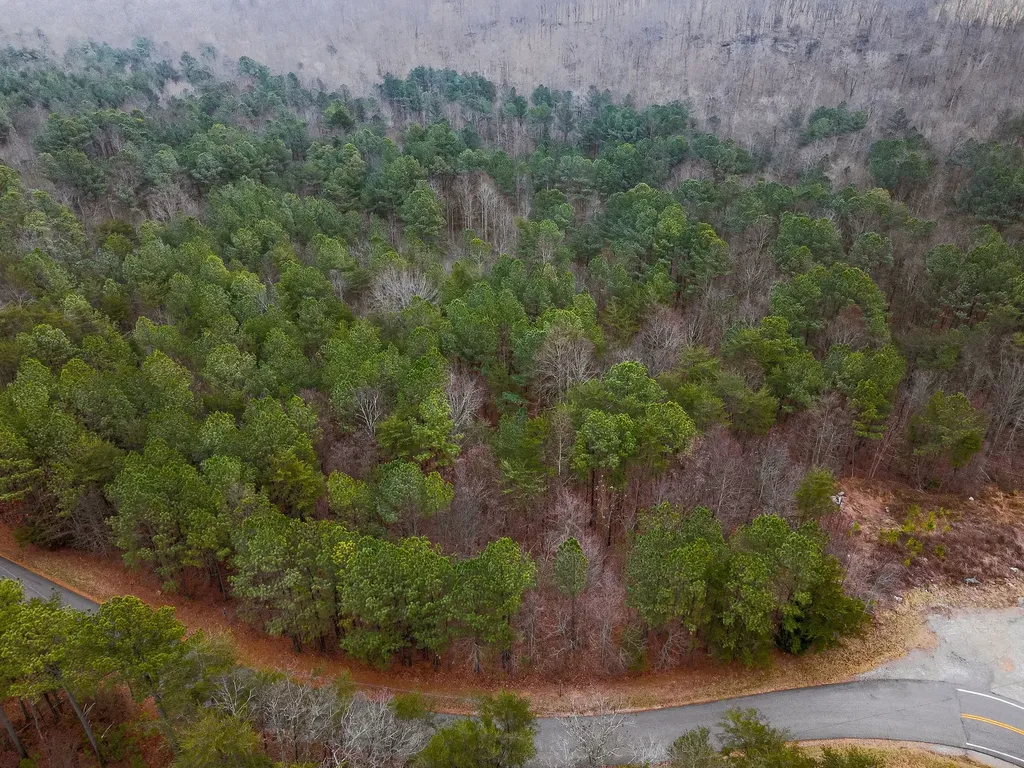 0 Captain Carter Road Spencer TN 38585