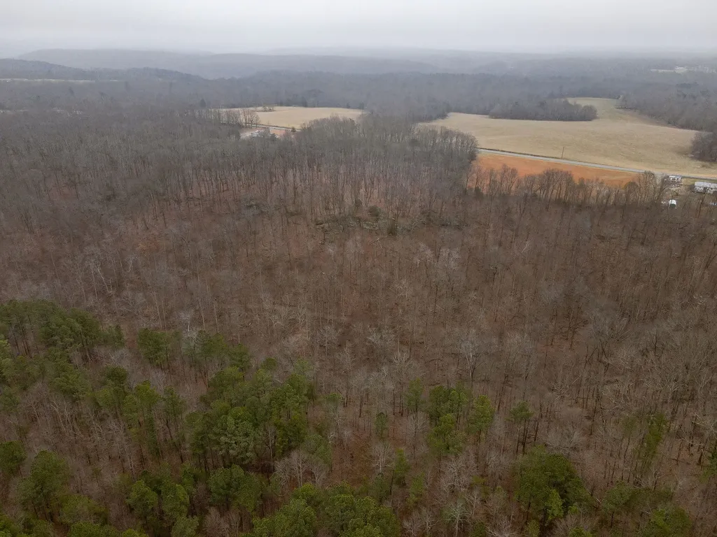 0 Captain Carter Road Spencer TN 38585