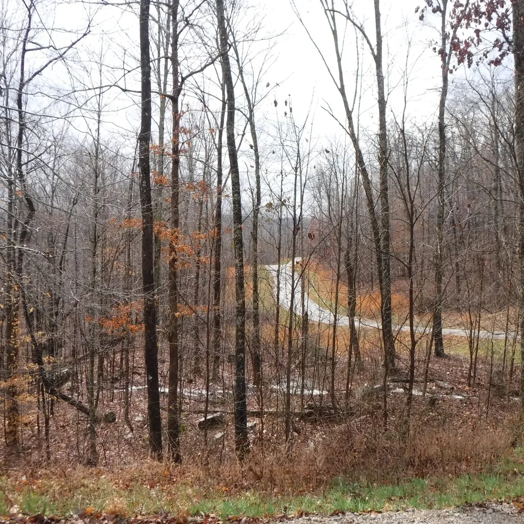 0 Cheyenne Drive Jamestown TN 38556