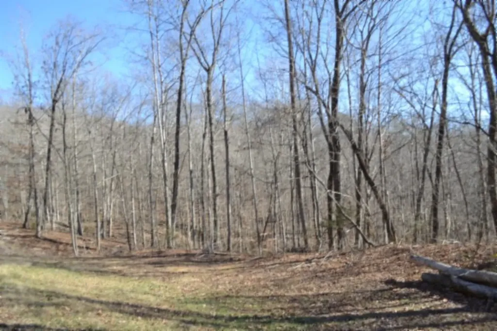 0 Cheyenne Drive Jamestown TN 38556