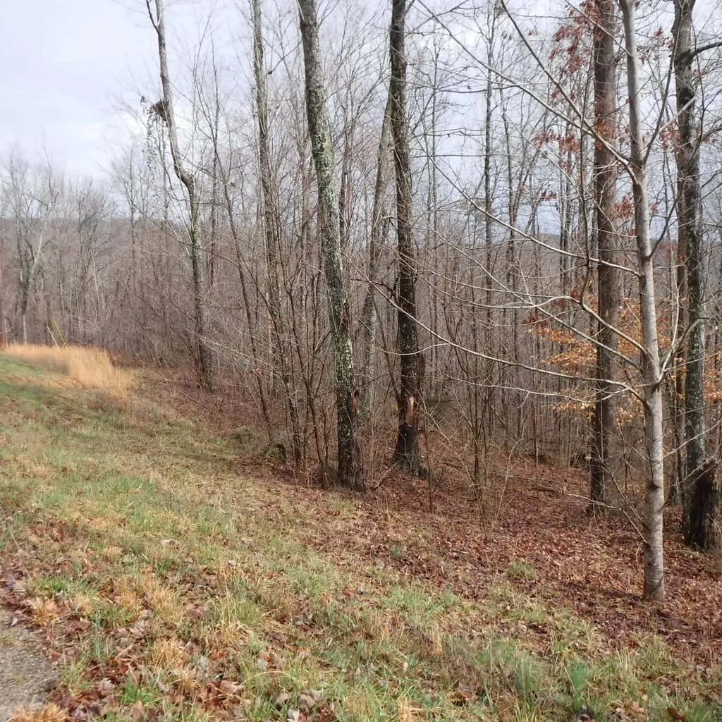 0 Cheyenne Drive Jamestown TN 38556