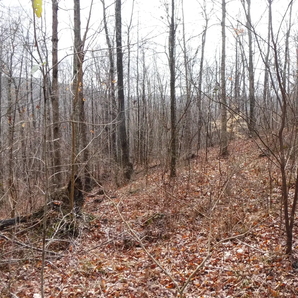 0 Cheyenne Drive Jamestown TN 38556