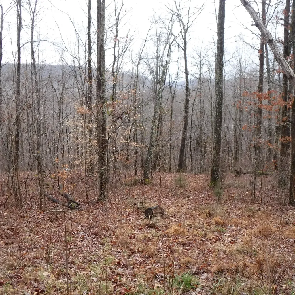 0 Cheyenne Drive Jamestown TN 38556