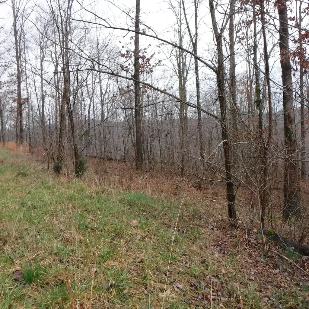 0 Cheyenne Drive Jamestown TN 38556