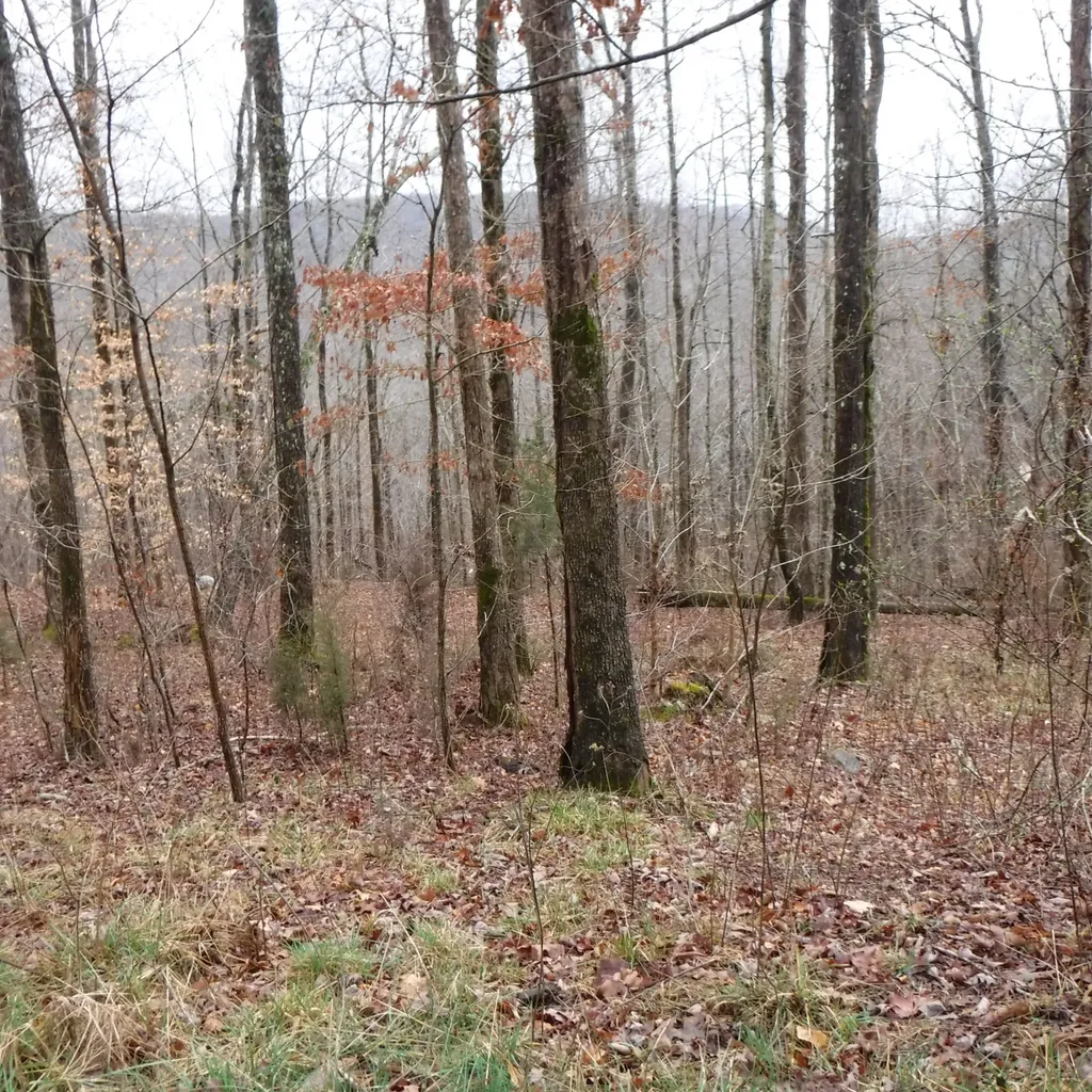 0 Cheyenne Drive Jamestown TN 38556