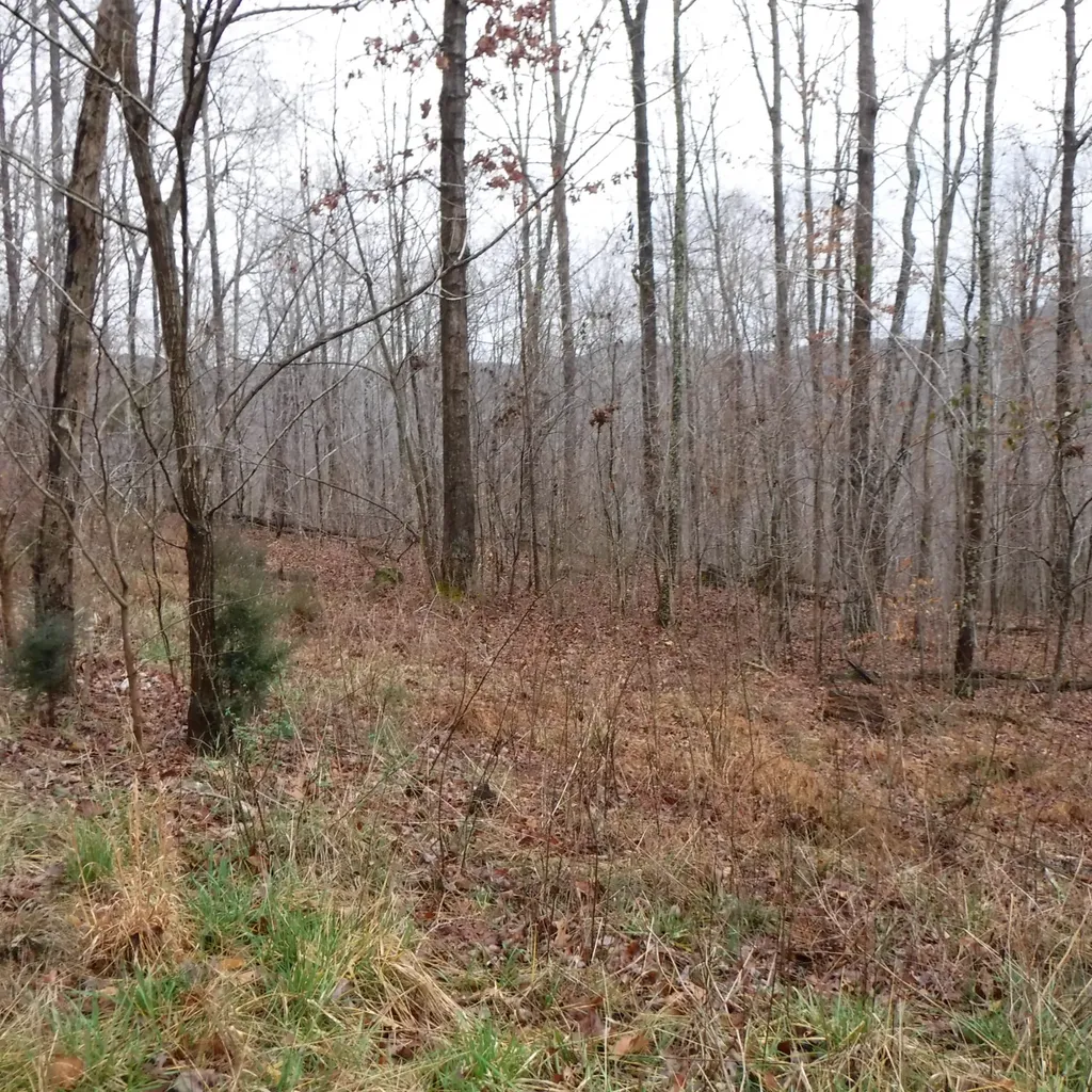 0 Cheyenne Drive Jamestown TN 38556