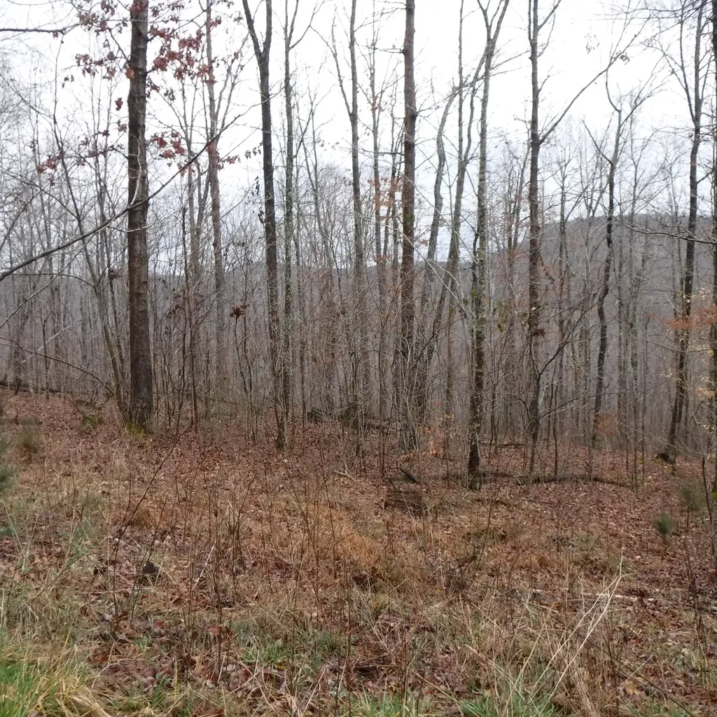 0 Cheyenne Drive Jamestown TN 38556