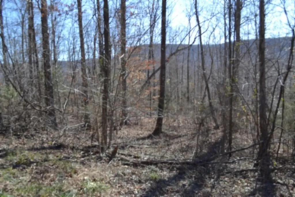 0 Cheyenne Drive Jamestown TN 38556