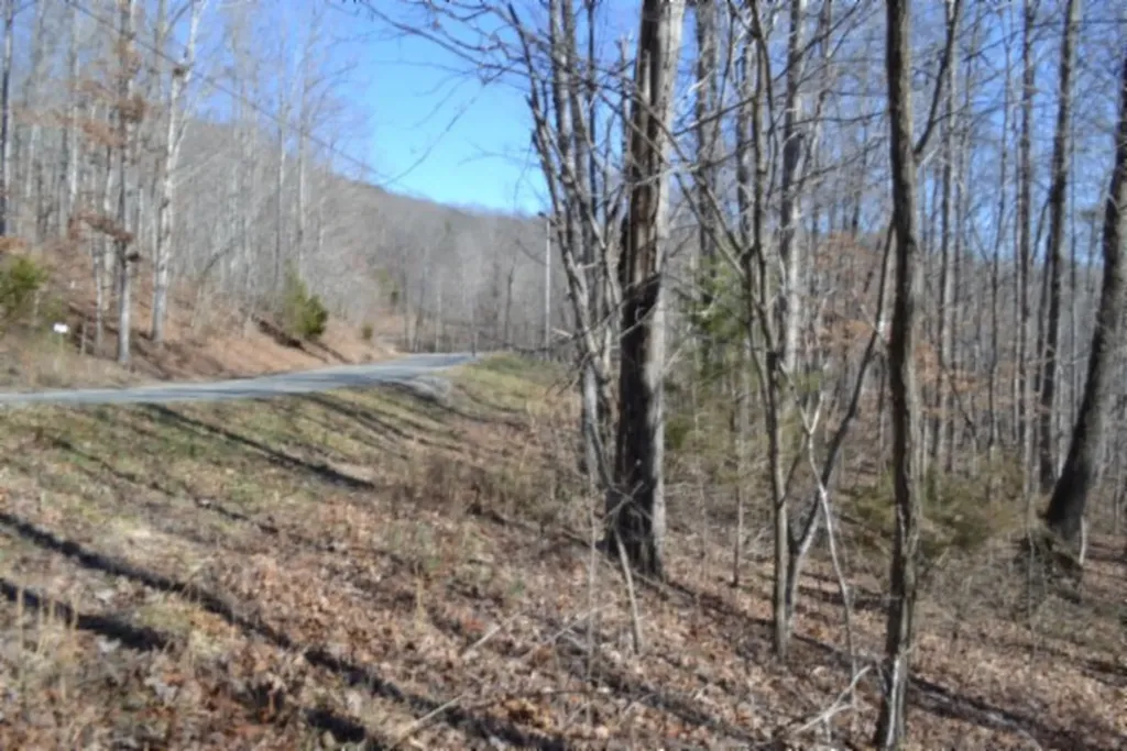 0 Cheyenne Drive Jamestown TN 38556