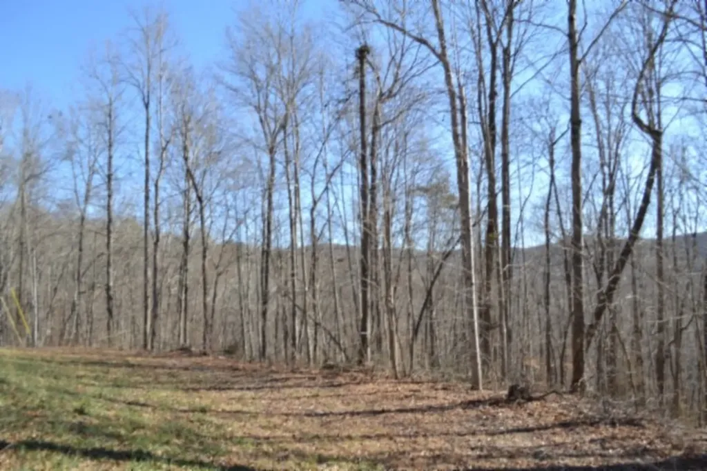 0 Cheyenne Drive Jamestown TN 38556