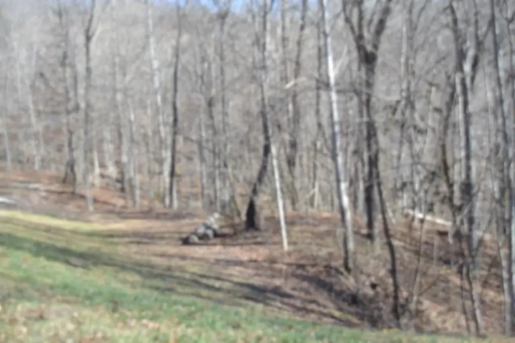 0 Cheyenne Drive Jamestown TN 38556
