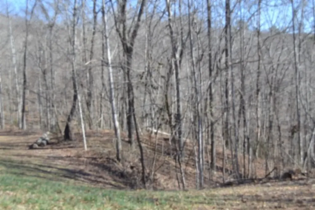 0 Cheyenne Drive Jamestown TN 38556