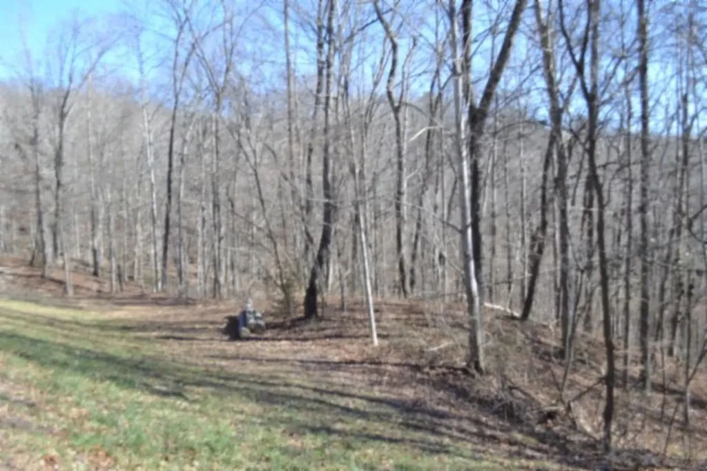 0 Cheyenne Drive Jamestown TN 38556
