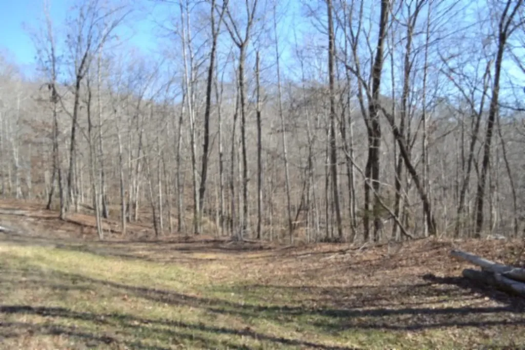 0 Cheyenne Drive Jamestown TN 38556