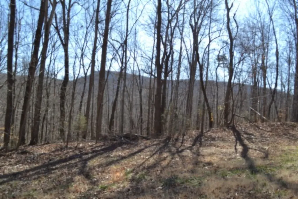 0 Cheyenne Drive Jamestown TN 38556