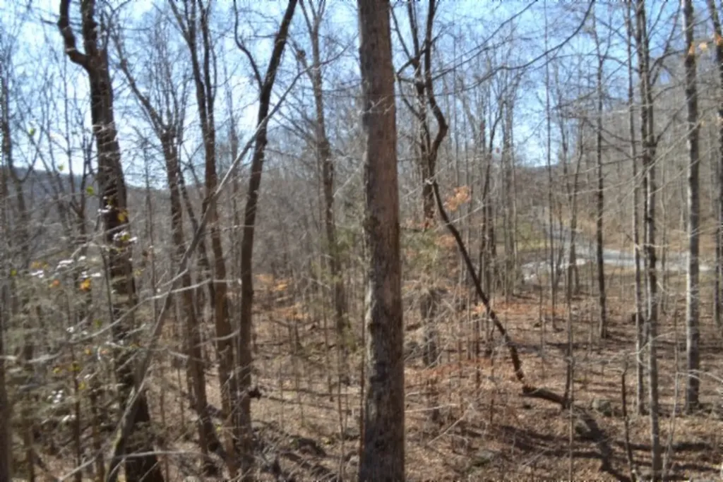0 Cheyenne Drive Jamestown TN 38556