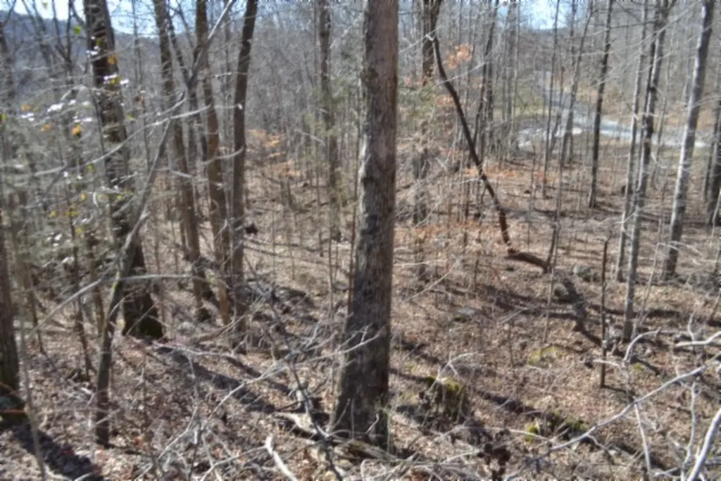 0 Cheyenne Drive Jamestown TN 38556