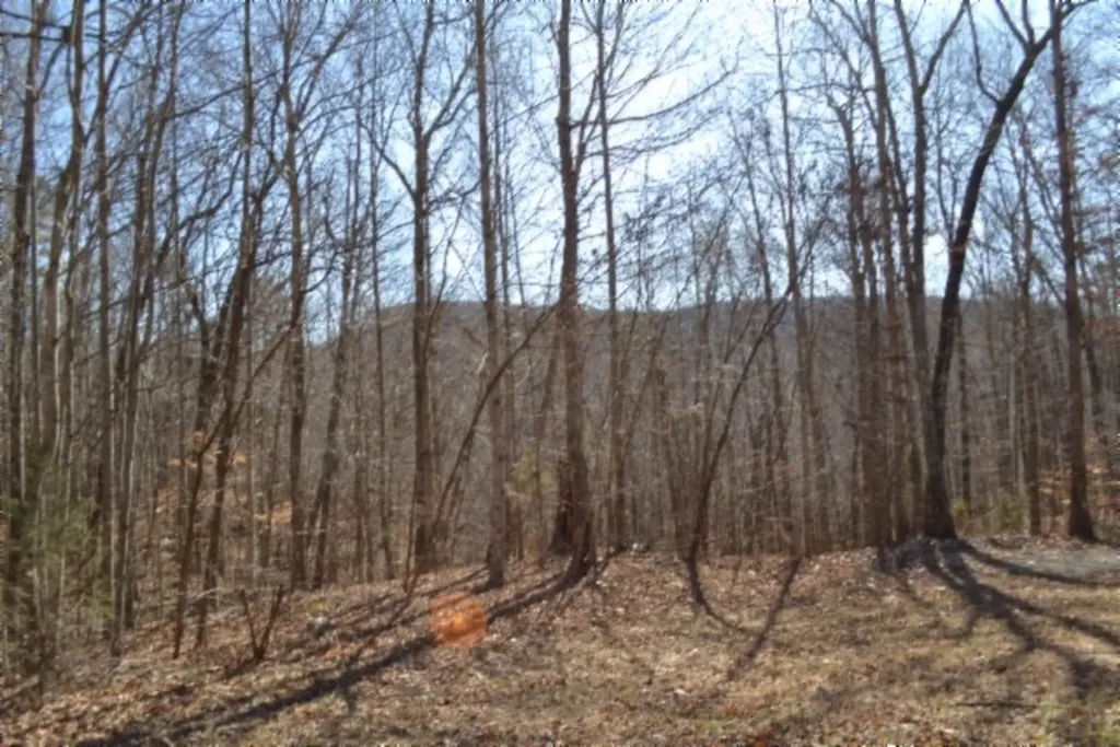 0 Cheyenne Drive Jamestown TN 38556