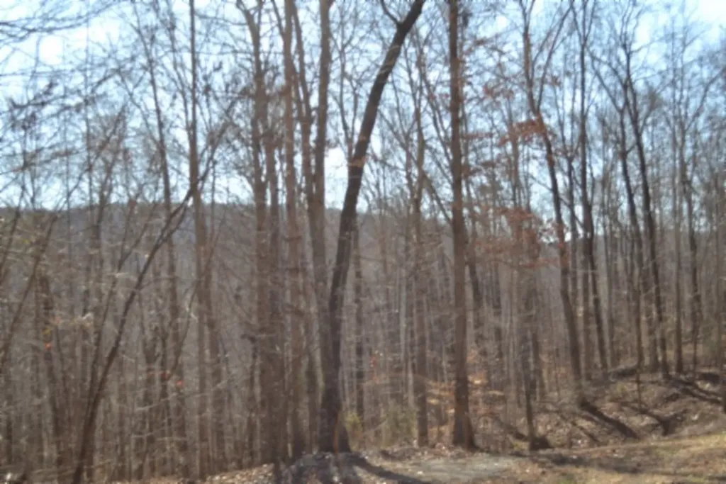 0 Cheyenne Drive Jamestown TN 38556