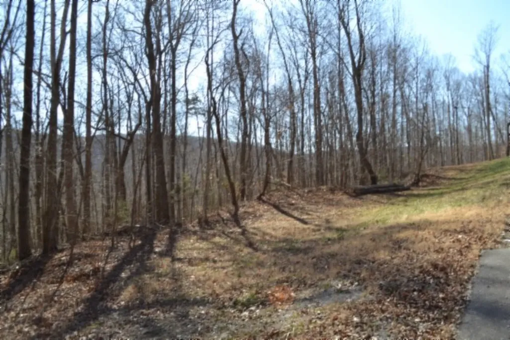 0 Cheyenne Drive Jamestown TN 38556