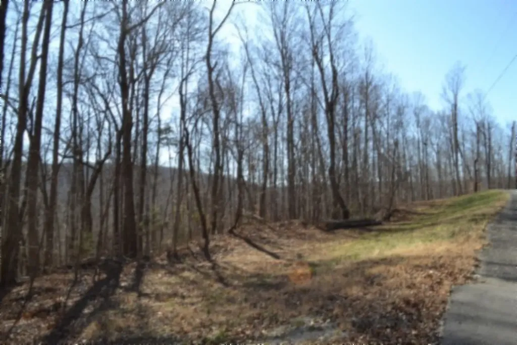0 Cheyenne Drive Jamestown TN 38556