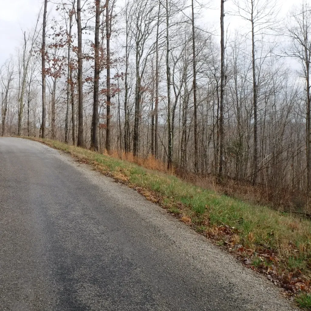 0 Cheyenne Drive Jamestown TN 38556