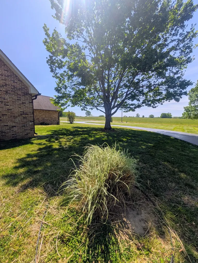 1080 Bybee Branch Road Mcminnville TN 37110