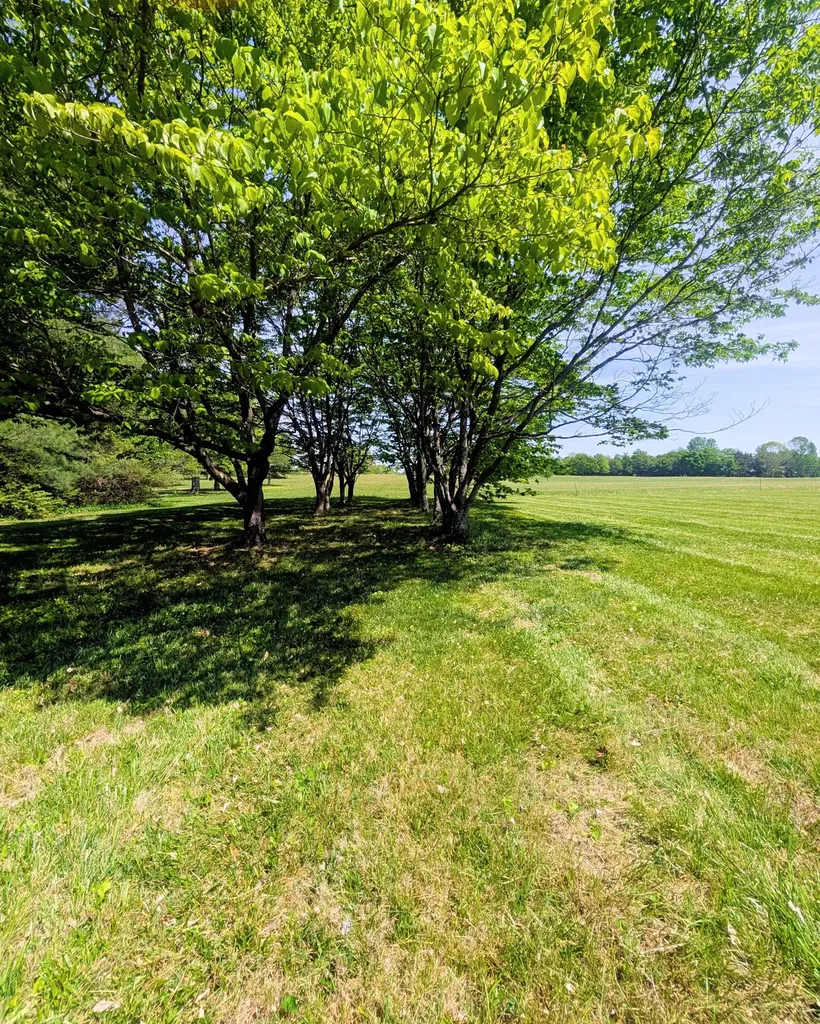 1080 Bybee Branch Road Mcminnville TN 37110