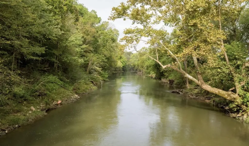12 Sturgeon Creek Road Cedar Hill TN 37032