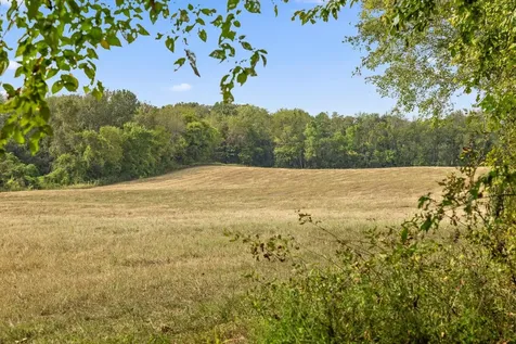 12 Sturgeon Creek Road Cedar Hill TN 37032