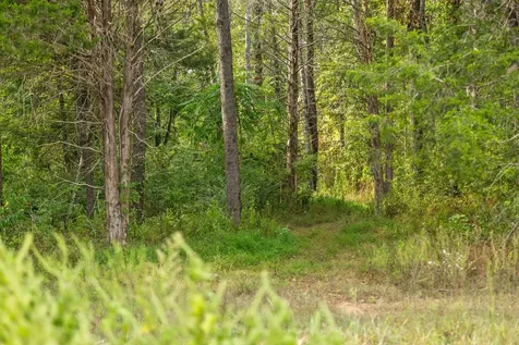 12 Sturgeon Creek Road Cedar Hill TN 37032