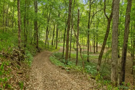 12 Sturgeon Creek Road Cedar Hill TN 37032