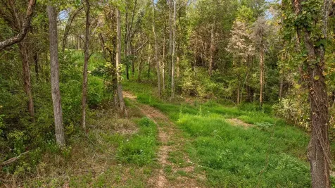 12 Sturgeon Creek Road Cedar Hill TN 37032