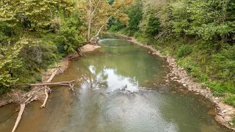 12 Sturgeon Creek Road Cedar Hill TN 37032