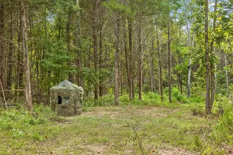 12 Sturgeon Creek Road Cedar Hill TN 37032