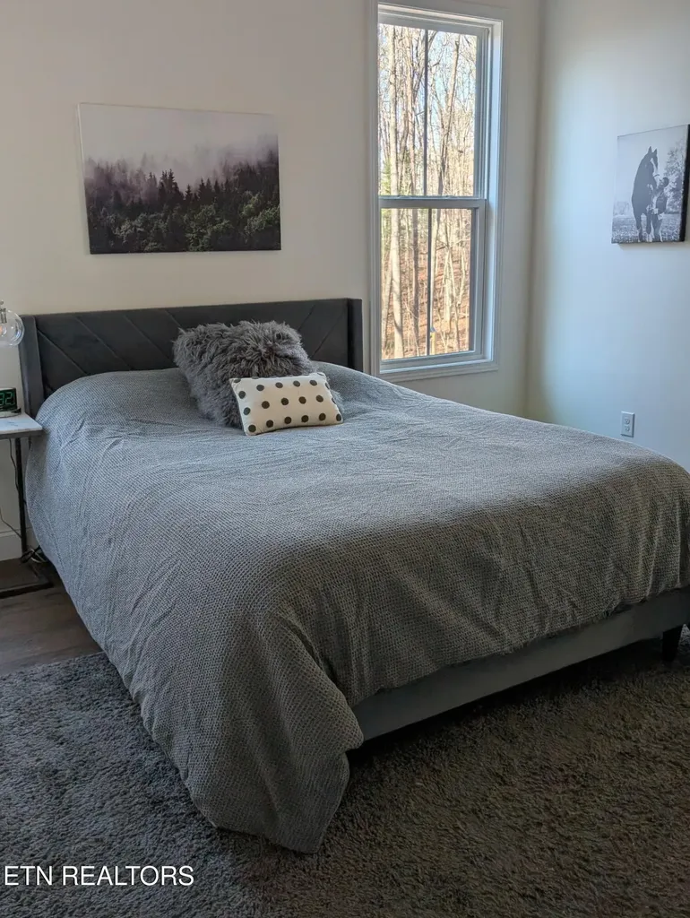 108 Shotgun Annie Road Jamestown TN 38556