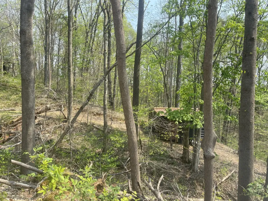 75 New Harmony Road Lafayette TN 37083