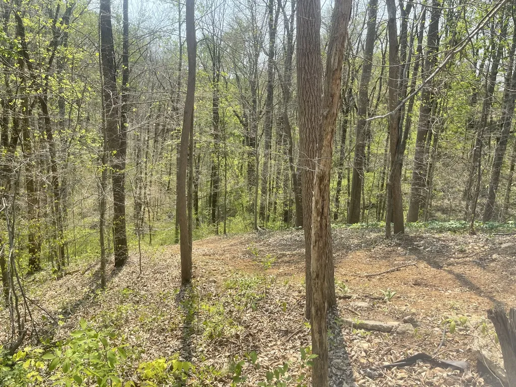 75 New Harmony Road Lafayette TN 37083