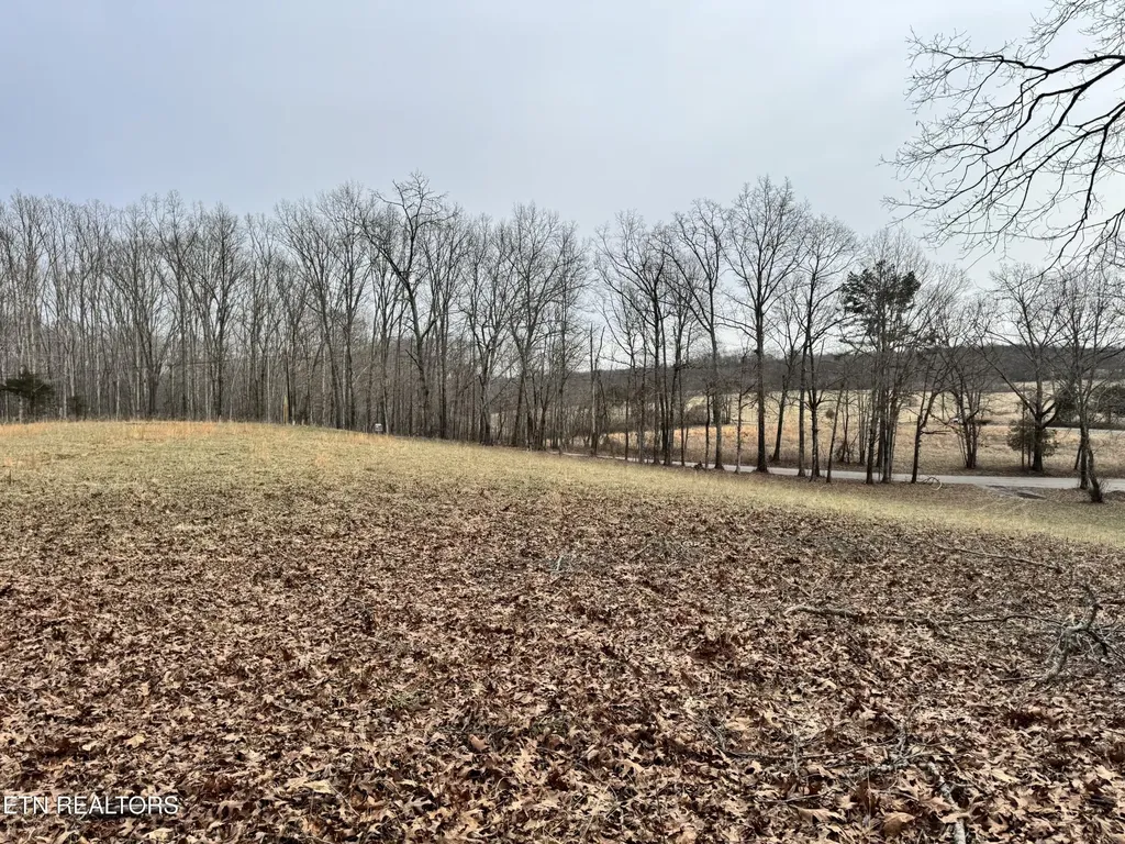 41 Smith Mountain Road Rockwood TN 37854