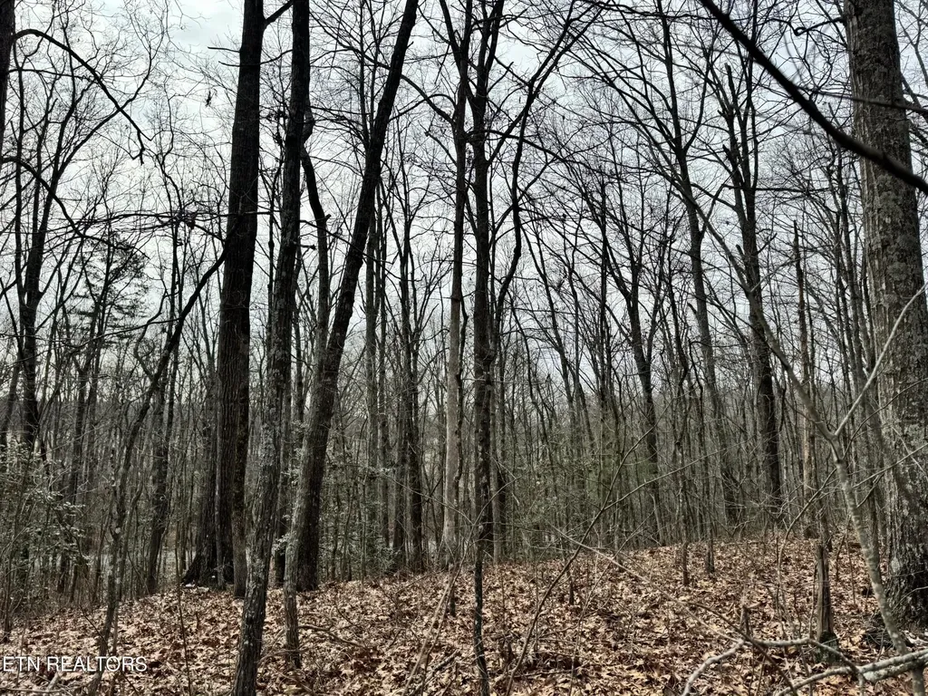 41 Smith Mountain Road Rockwood TN 37854