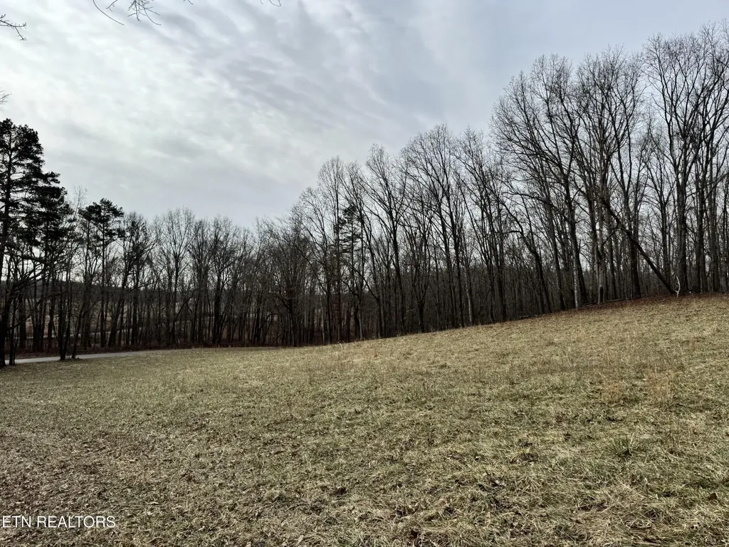 41 Smith Mountain Road Rockwood TN 37854