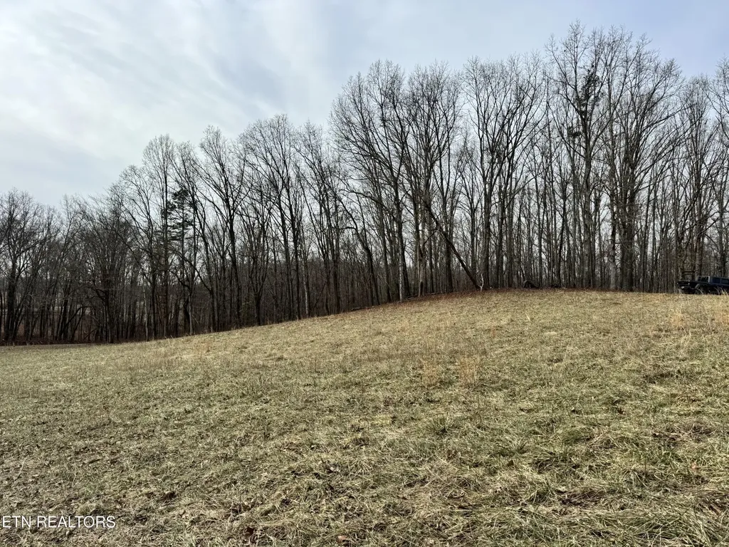 41 Smith Mountain Road Rockwood TN 37854