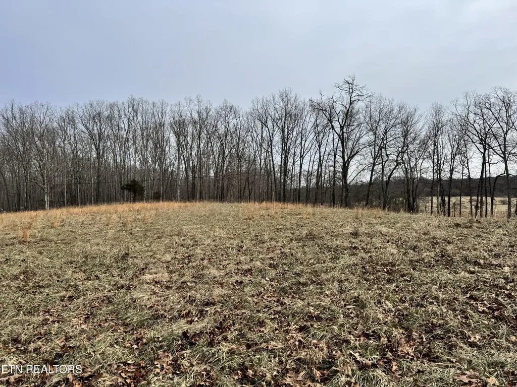 41 Smith Mountain Road Rockwood TN 37854