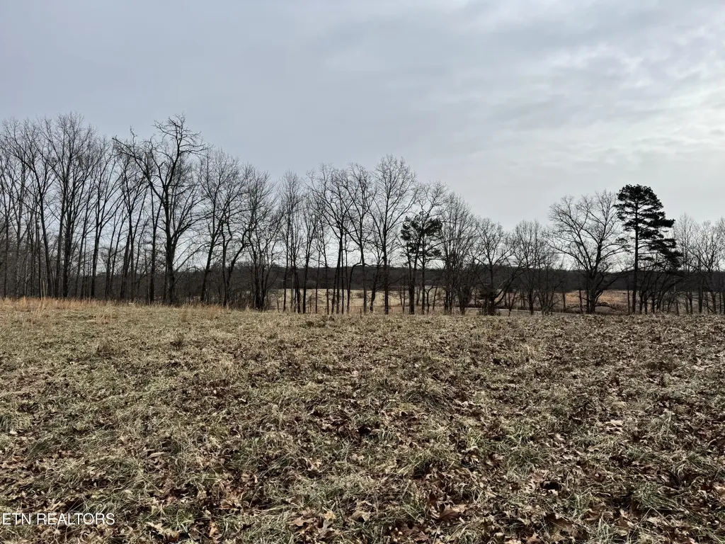 41 Smith Mountain Road Rockwood TN 37854