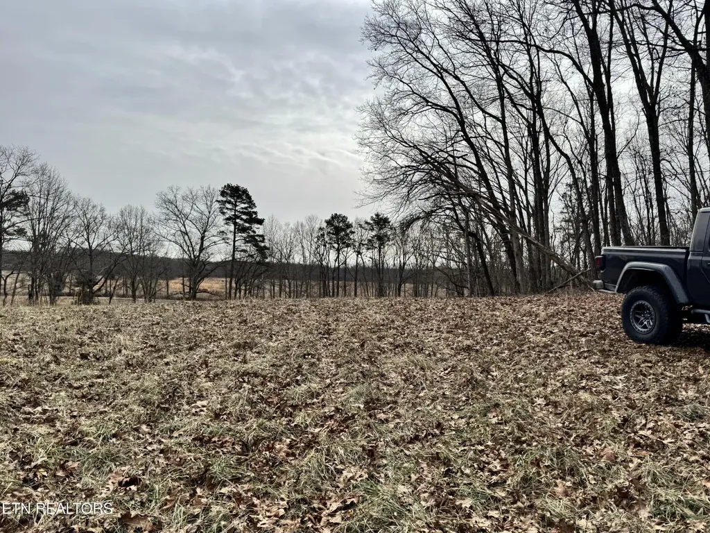 41 Smith Mountain Road Rockwood TN 37854