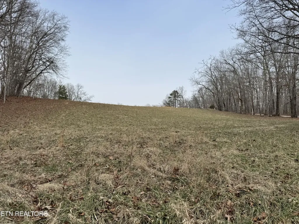 41 Smith Mountain Road Rockwood TN 37854