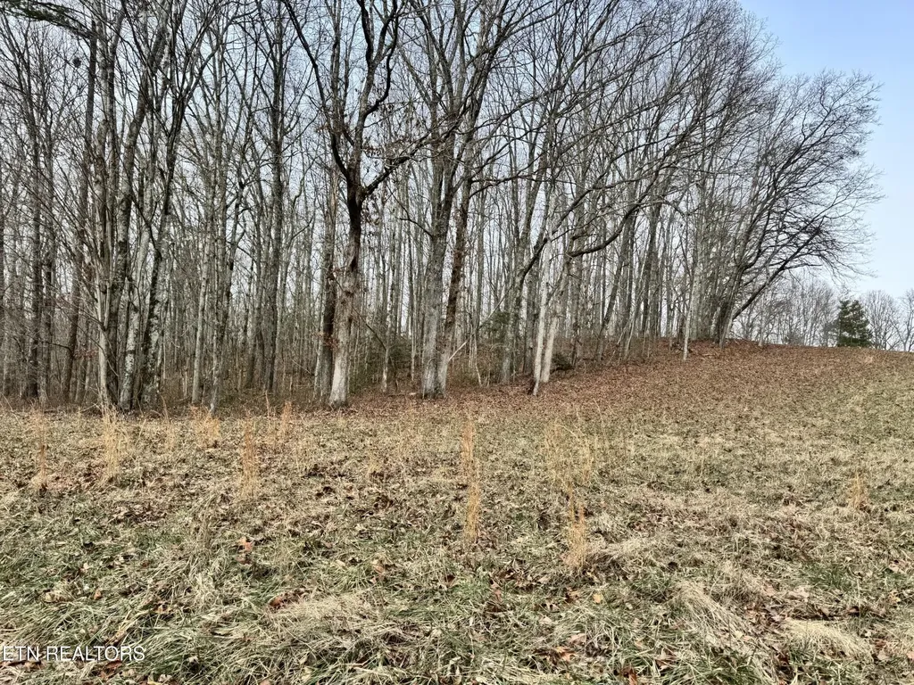 41 Smith Mountain Road Rockwood TN 37854